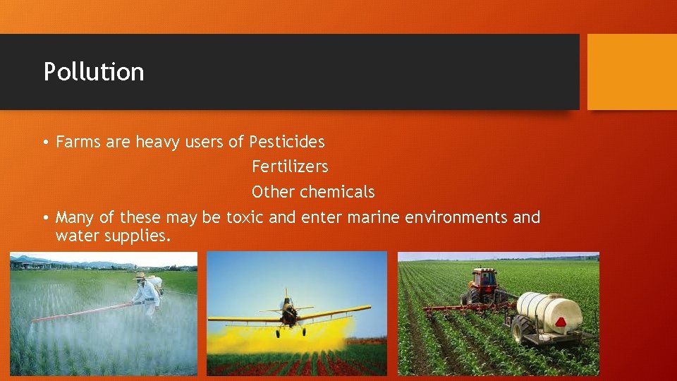 Pollution • Farms are heavy users of Pesticides Fertilizers Other chemicals • Many of