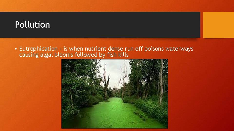 Pollution • Eutrophication - is when nutrient dense run off poisons waterways causing algal
