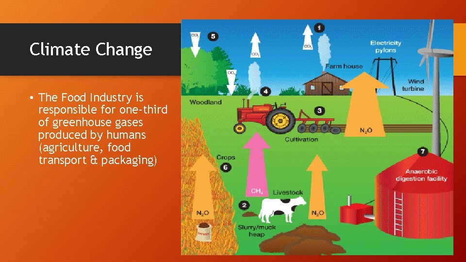Climate Change • The Food Industry is responsible for one-third of greenhouse gases produced