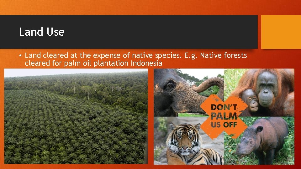 Land Use • Land cleared at the expense of native species. E. g. Native