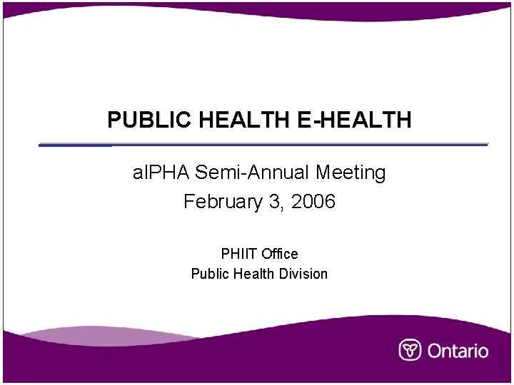 PUBLIC HEALTH E-HEALTH al. PHA Semi-Annual Meeting February 3, 2006 PHIIT Office Public Health