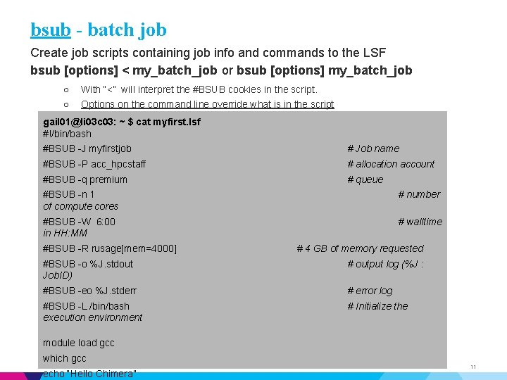 bsub - batch job Create job scripts containing job info and commands to the