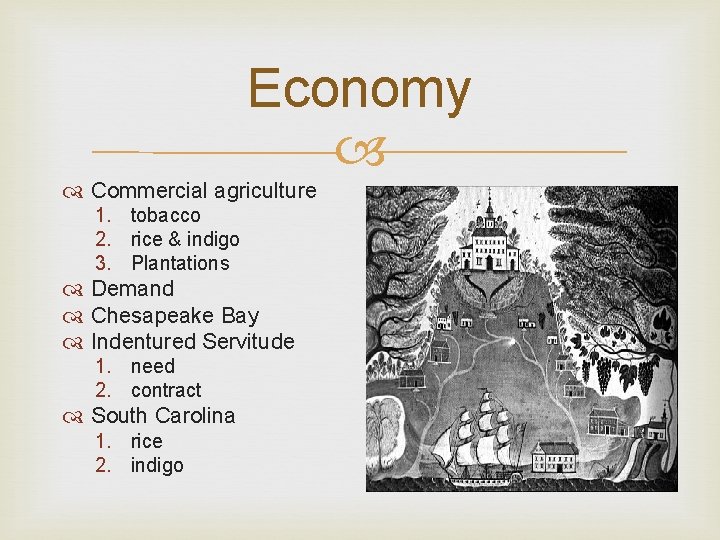 Economy Commercial agriculture 1. tobacco 2. rice & indigo 3. Plantations Demand Chesapeake Bay