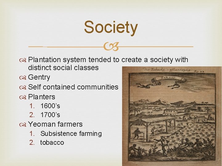 Society Plantation system tended to create a society with distinct social classes Gentry Self