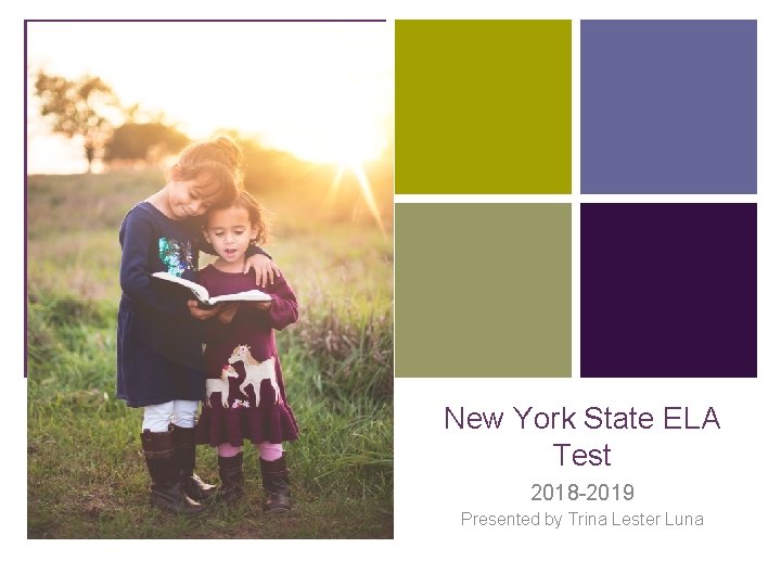 + New York State ELA Test 2018 -2019 Presented by Trina Lester Luna 