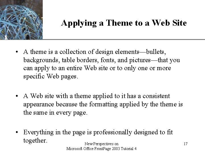 Applying a Theme to a Web Site XP • A theme is a collection