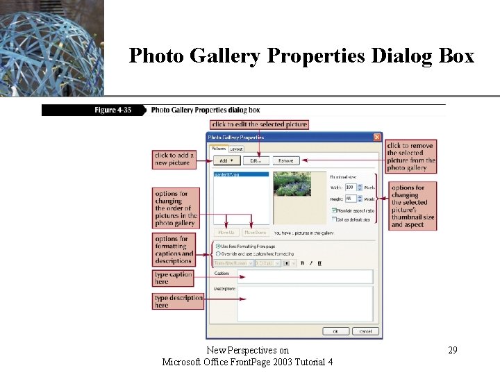 XP Photo Gallery Properties Dialog Box New Perspectives on Microsoft Office Front. Page 2003