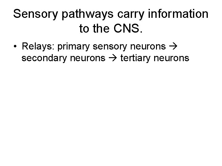 Sensory pathways carry information to the CNS. • Relays: primary sensory neurons secondary neurons