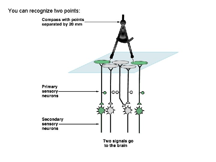 You can recognize two points: 