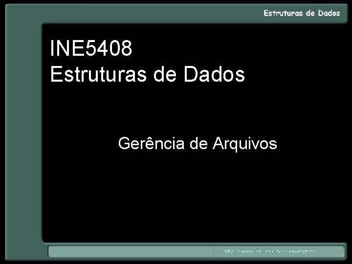 INE 5408 Estruturas de Dados Gerência de Arquivos 