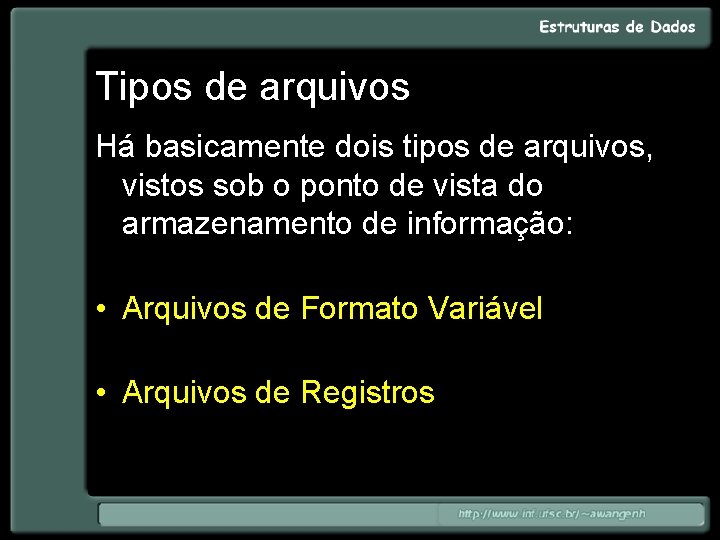 Tipos de arquivos Há basicamente dois tipos de arquivos, vistos sob o ponto de