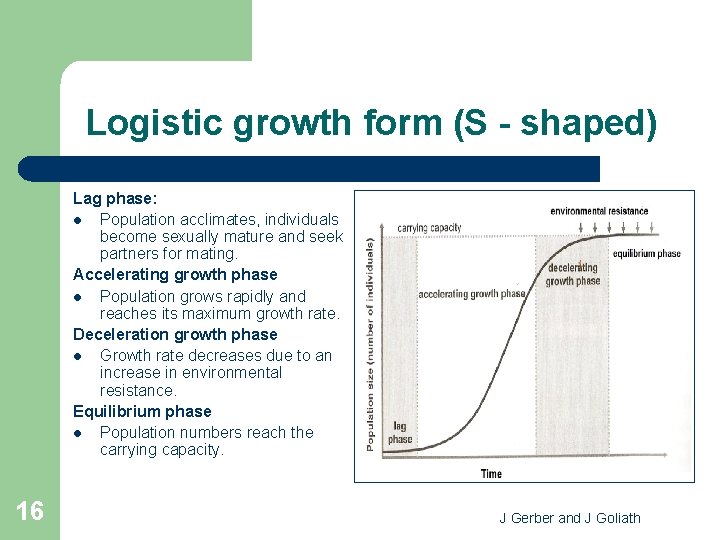 Logistic growth form (S - shaped) Lag phase: l Population acclimates, individuals become sexually