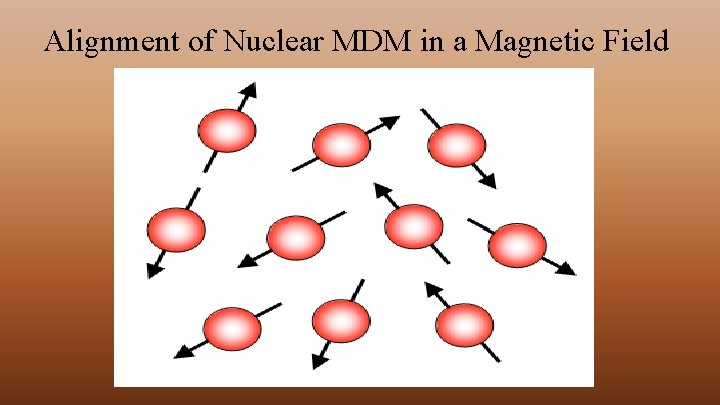Alignment of Nuclear MDM in a Magnetic Field 
