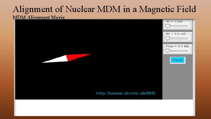 Alignment of Nuclear MDM in a Magnetic Field MDM Alignment Movie 