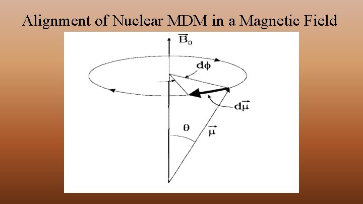 Alignment of Nuclear MDM in a Magnetic Field 