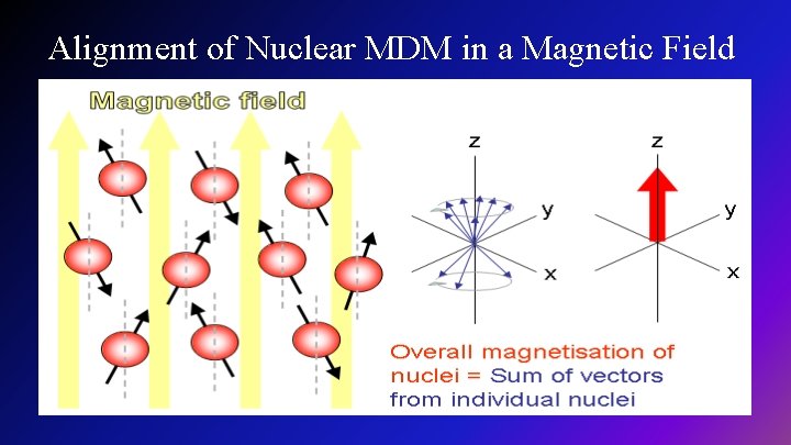 Alignment of Nuclear MDM in a Magnetic Field 