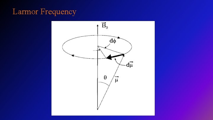 Larmor Frequency 