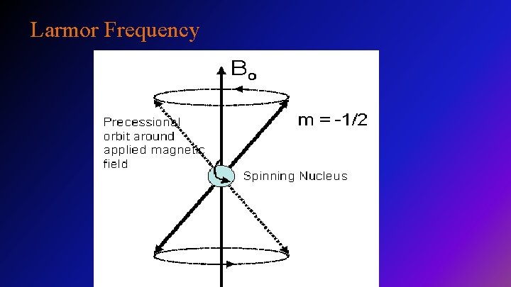 Larmor Frequency 