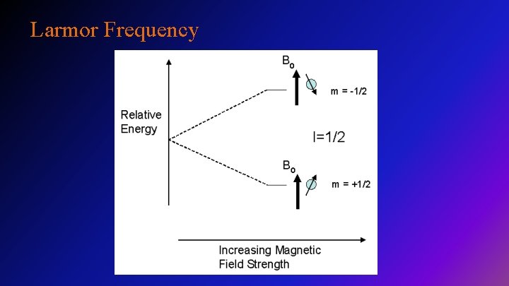 Larmor Frequency 