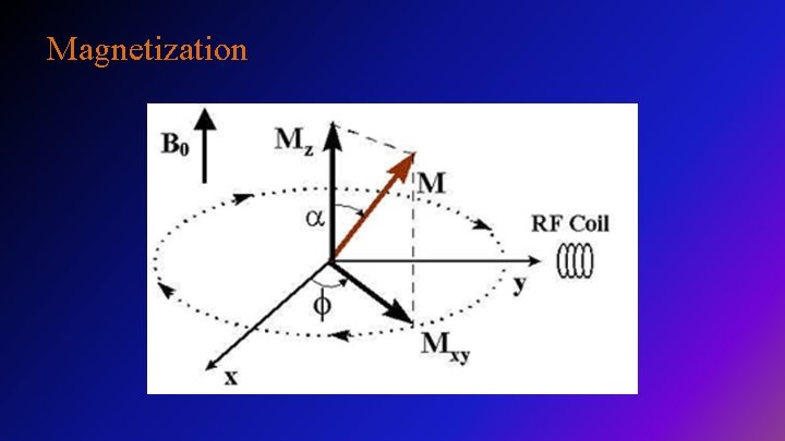 Magnetization 