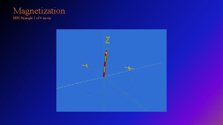 Magnetization MRI Principle 1 of 4 movie 