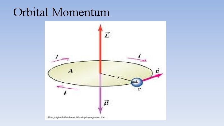 Orbital Momentum 