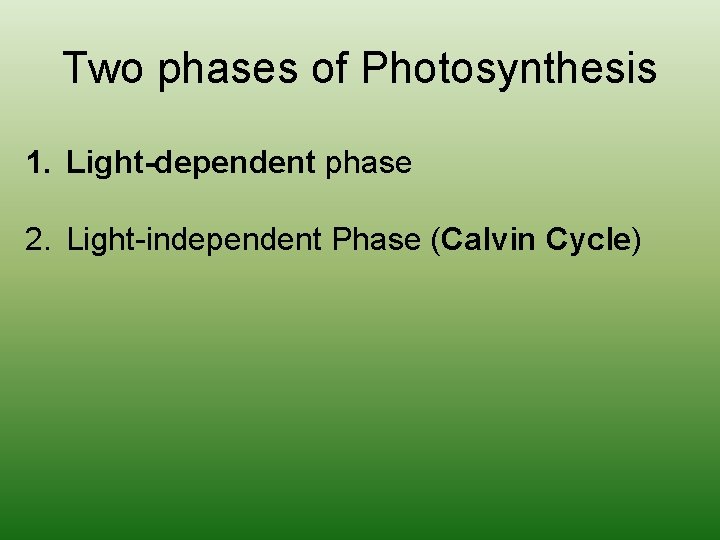 Two phases of Photosynthesis 1. Light-dependent phase 2. Light-independent Phase (Calvin Cycle) 