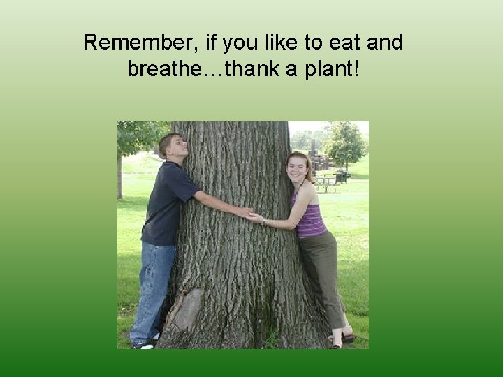 Remember, if you like to eat and breathe…thank a plant! 