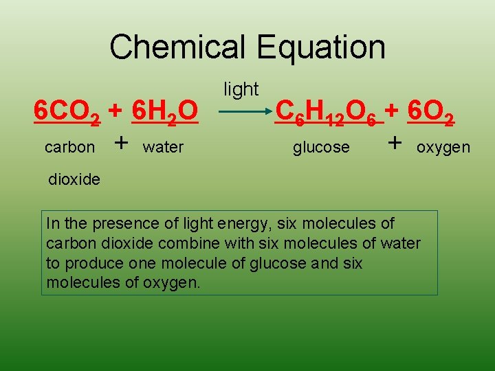 Chemical Equation 6 CO 2 + 6 H 2 O carbon + water light