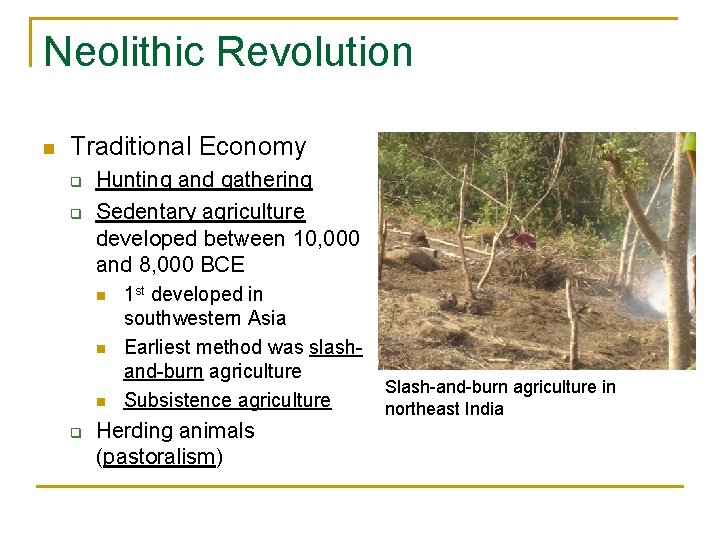 Neolithic Revolution n Traditional Economy q q Hunting and gathering Sedentary agriculture developed between