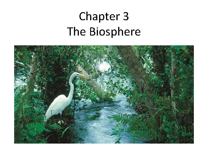 Chapter 3 The Biosphere 