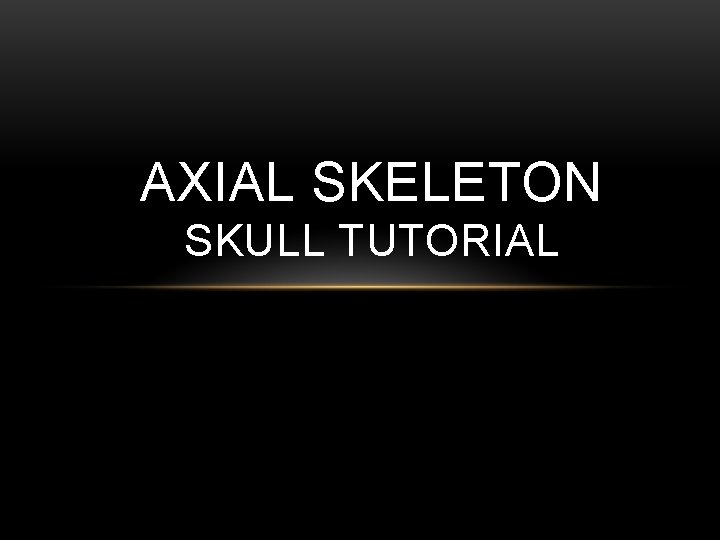 AXIAL SKELETON SKULL TUTORIAL 