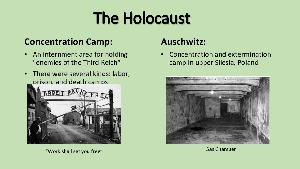 The Holocaust Concentration Camp: Auschwitz: • An internment area for holding "enemies of the