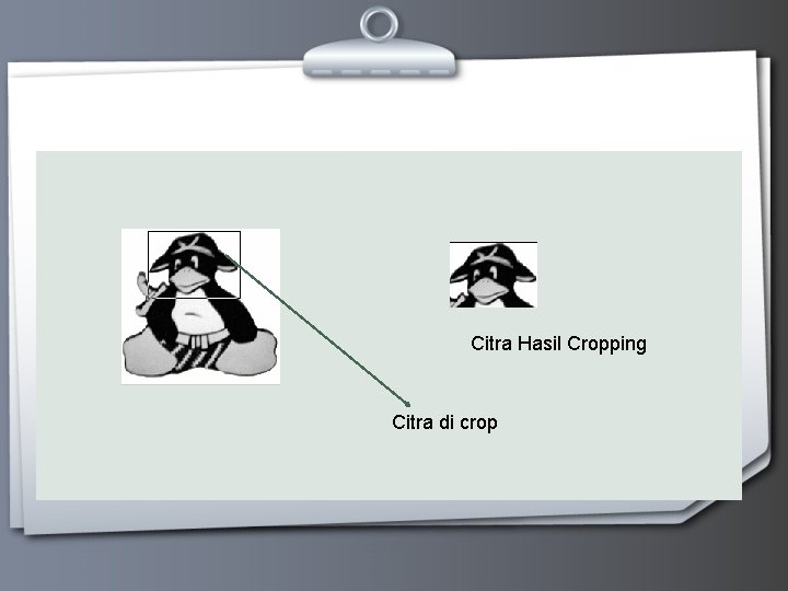 Citra Hasil Cropping Citra di crop 