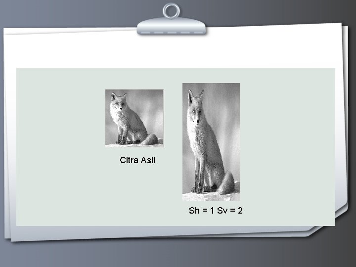 Citra Asli Sh = 1 Sv = 2 