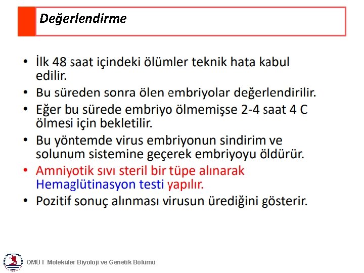 Değerlendirme OMÜ I Moleküler Biyoloji ve Genetik Bölümü 