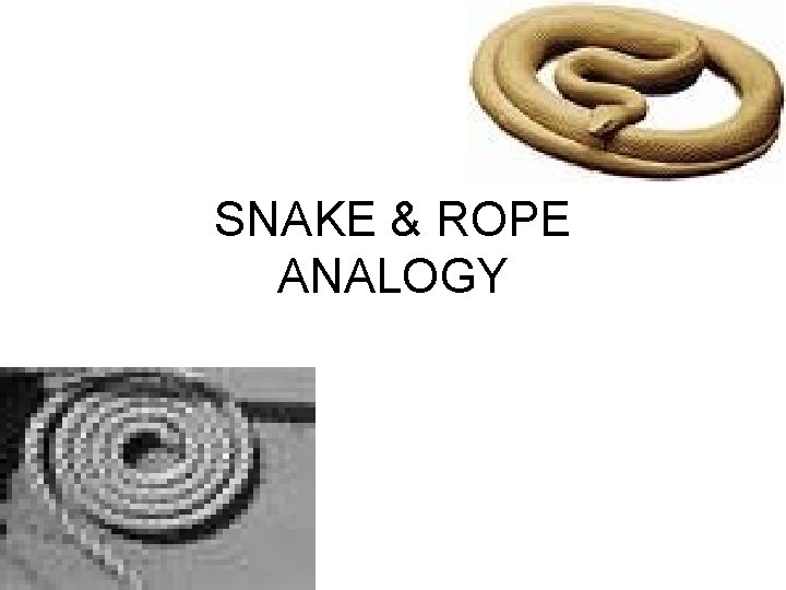 SNAKE & ROPE ANALOGY 