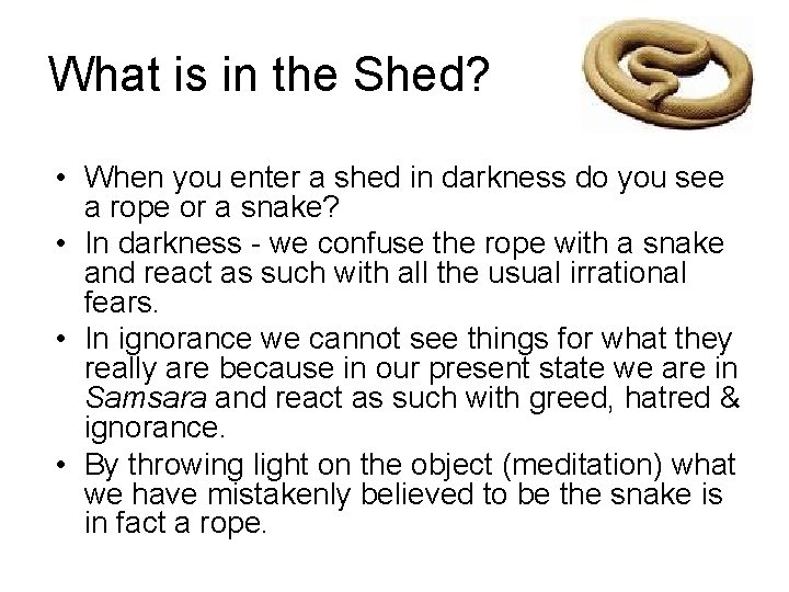 What is in the Shed? • When you enter a shed in darkness do