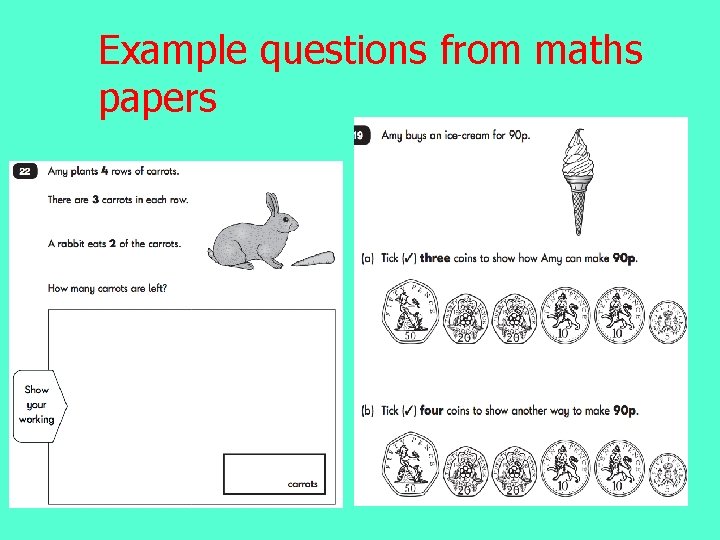 Example questions from maths papers 