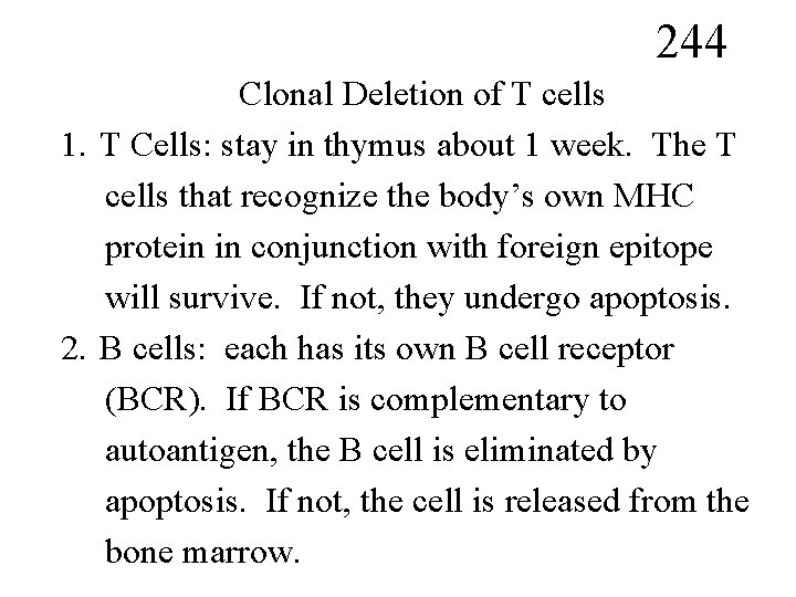 244 Clonal Deletion of T cells 1. T Cells: stay in thymus about 1