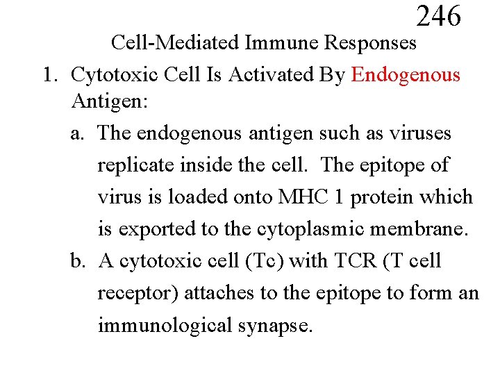 246 Cell-Mediated Immune Responses 1. Cytotoxic Cell Is Activated By Endogenous Antigen: a. The