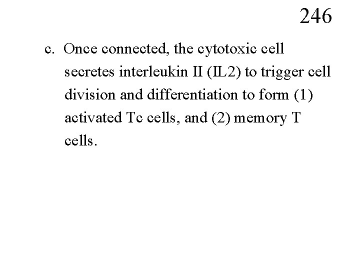 246 c. Once connected, the cytotoxic cell secretes interleukin II (IL 2) to trigger