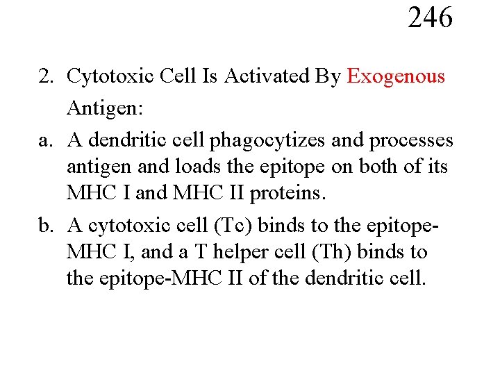 246 2. Cytotoxic Cell Is Activated By Exogenous Antigen: a. A dendritic cell phagocytizes