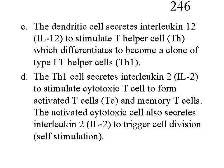 246 c. The dendritic cell secretes interleukin 12 (IL-12) to stimulate T helper cell
