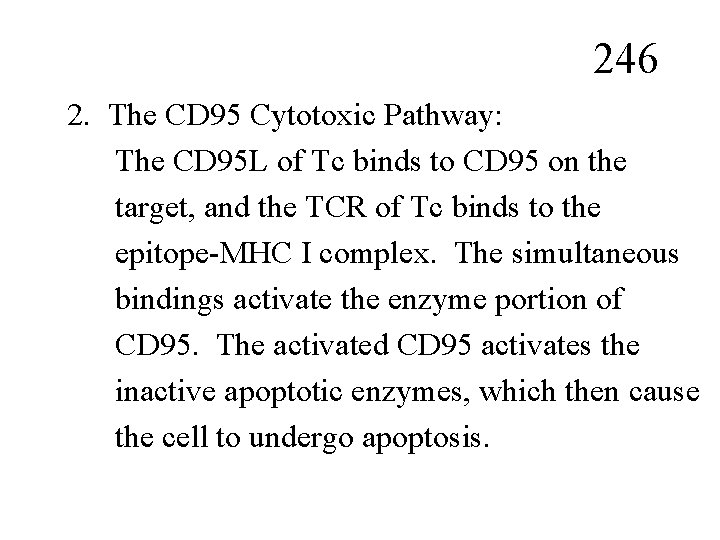 246 2. The CD 95 Cytotoxic Pathway: The CD 95 L of Tc binds