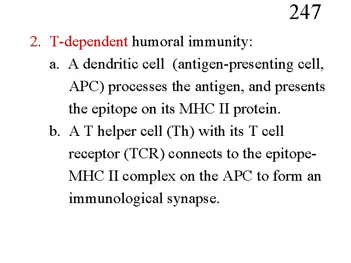 247 2. T-dependent humoral immunity: a. A dendritic cell (antigen-presenting cell, APC) processes the