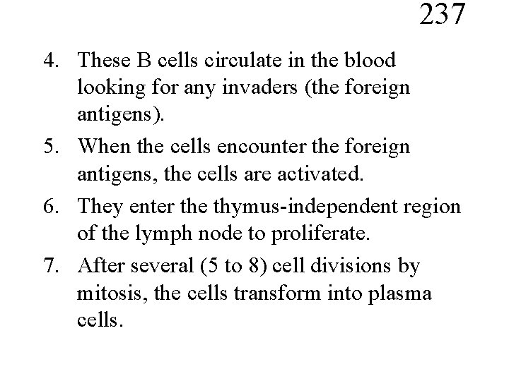237 4. These B cells circulate in the blood looking for any invaders (the