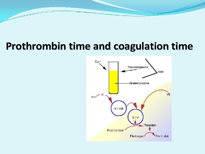 Prothrombin time and coagulation time 