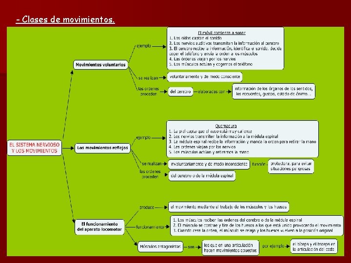 - Clases de movimientos. 