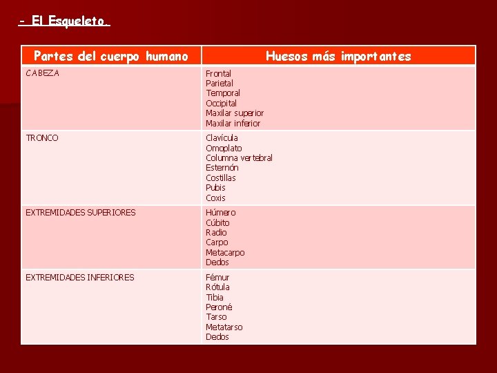 - El Esqueleto. Partes del cuerpo humano Huesos más importantes CABEZA Frontal Parietal Temporal